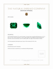 2.94 Ct. Emerald from Zambia Appraisal