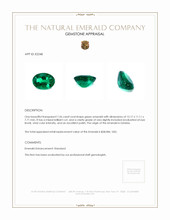 7.56 Ct. Emerald from Zambia Appraisal