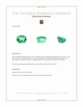 8.46 Ct. Emerald from Colombia Appraisal
