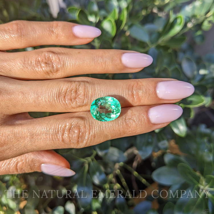 8.46 Ct. Emerald from Colombia