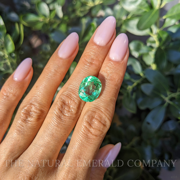8.46 Ct. Emerald from Colombia