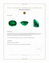 8.76 Ct. Emerald from Zambia Appraisal