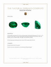 8.76 Ct. Emerald from Zambia Appraisal