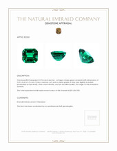2.94 Ct. Emerald from Zambia Appraisal