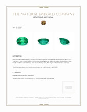 1.25 Ct. Emerald from Zambia Appraisal