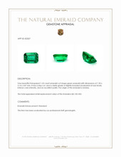 1.05 Ct. Emerald from Zambia Appraisal