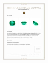 0.92 Ct. Emerald from Zambia Appraisal