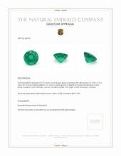 0.73 Ct. Emerald from Zambia Appraisal
