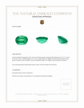 Jewelry Appraisal
