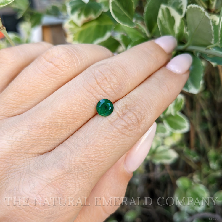 0.77 Ct. Emerald from Zambia