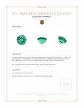 0.99 Ct. Emerald from Zambia Appraisal