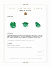 0.82 Ct. Emerald from Zambia Appraisal