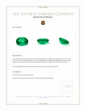 0.80 Ct. Emerald from Zambia Appraisal