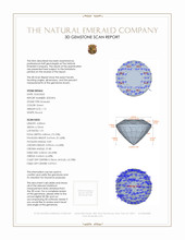 Jewelry 3 D Scan Report