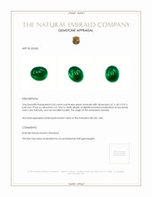 5.45 Ct. Emerald from Zambia Appraisal