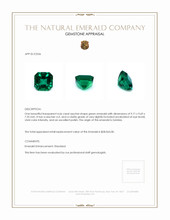 4.66 Ct. Emerald from Zambia Appraisal