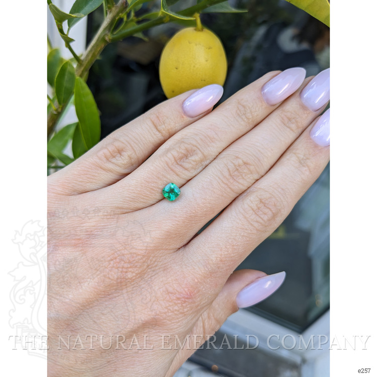 0.61 Ct. Emerald from Zambia