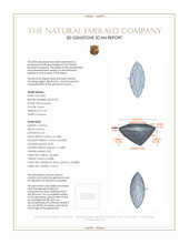 Jewelry 3 D Scan Report