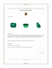 4.98 Ct. Emerald from Zambia Appraisal