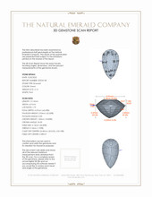 Jewelry 3 D Scan Report