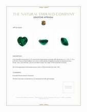 4.79 Ct. Emerald from Zambia Appraisal