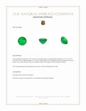 1.49 Ct. Emerald from Zambia Appraisal