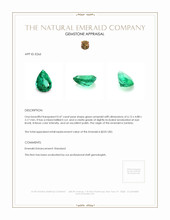 0.47 Ct. Emerald from Zambia Appraisal