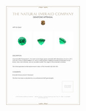 1.18 Ct. Emerald from Zambia Appraisal