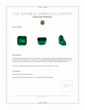 10.36 Ct. Emerald from Zambia Appraisal