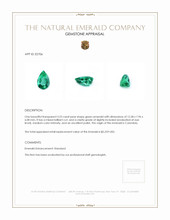 3.23 Ct. Emerald from Colombia Appraisal