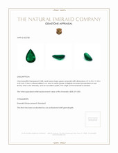 Jewelry Appraisal