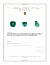 4.92 Ct. Emerald from Zambia Appraisal