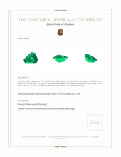 1.19 Ct. Emerald from Colombia Appraisal