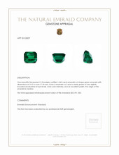 4.85 Ct. Emerald from Zambia Appraisal