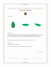 2.96 Ct. Emerald from Colombia Appraisal