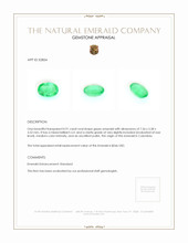 0.91 Ct. Emerald from Colombia Appraisal