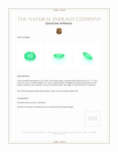 0.70 Ct. Emerald from Colombia Appraisal