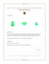 1.46 Ct. Emerald from Colombia Appraisal