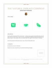 0.78 Ct. Emerald from Colombia Appraisal