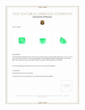 0.50 Ct. Emerald from Colombia Appraisal