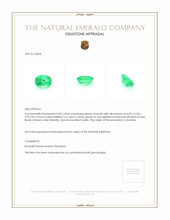 0.82 Ct. Emerald from Colombia Appraisal