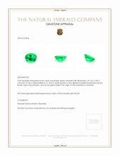 0.96 Ct. Emerald from Colombia Appraisal