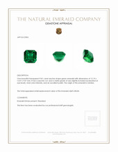 9.81 Ct. Emerald from Zambia Appraisal