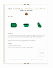 8.66 Ct. Emerald from Zambia Appraisal