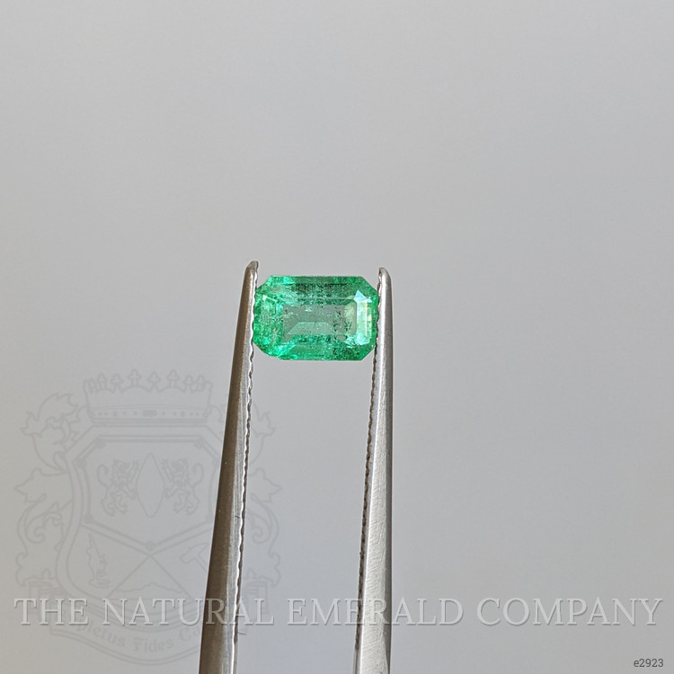 0.72 Ct. Emerald from Colombia