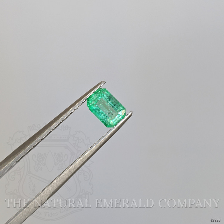 0.72 Ct. Emerald from Colombia