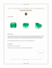 0.80 Ct. Emerald from Colombia Appraisal