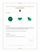 0.42 Ct. Emerald from Colombia Appraisal