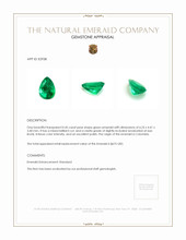 0.45 Ct. Emerald from Colombia Appraisal