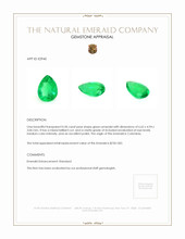 0.50 Ct. Emerald from Colombia Appraisal